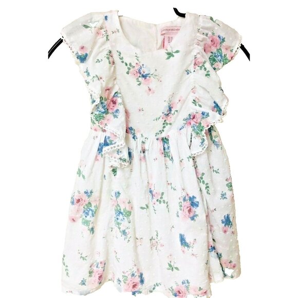 Catherine Malandro Other - Catherine Malandro Little Girls 3T Pinafore Dress Petticoat Dotted Swiss Ruffles